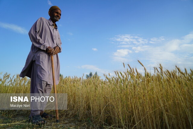 عکس تزیینی است ساخت مستند از سیستان و بلوچستان چه مشکلاتی دارد؟
