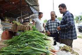 بازار گیاهان خوراکی در کرمانشاه