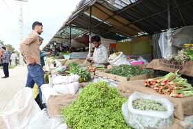 بازار گیاهان خوراکی در کرمانشاه