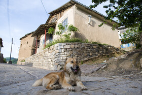 روستای ساسنگ - استان گلستان