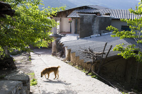 روستای ساسنگ - گلستان