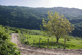 روستای ساسنگ - استان گلستان