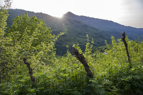 روستای ساسنگ - استان گلستان