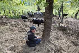 روستای ساسنگ - استان گلستان