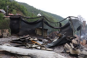 خسارات آتش سوزی در روستای امام‌زاده ابراهیم - گیلان