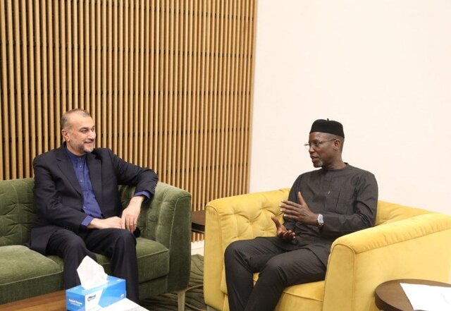 ورود امیرعبداللهیان به گامبیا