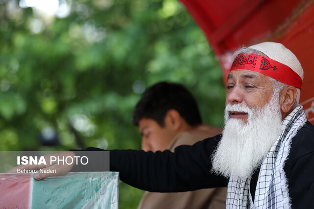 عکس تزئینی است آلالهها به زادگاهشان بازگشتند