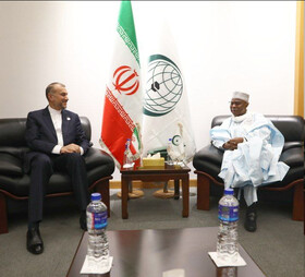 پیشنهادات امیرعبداللهیان به دبیرکل سازمان همکاری اسلامی