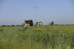 روستای یساقی در استان گلستان