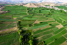 بهار شهرستان طارم در استان زنجان