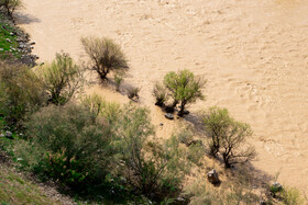 بهار شهرستان طارم در استان زنجان