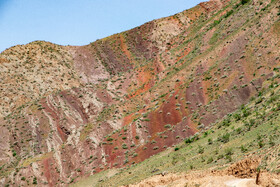 بهار شهرستان طارم در استان زنجان