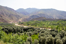 بهار شهرستان طارم در استان زنجان