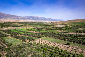 بهار شهرستان طارم در استان زنجان