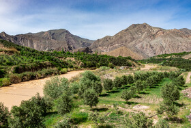 بهار شهرستان طارم در استان زنجان