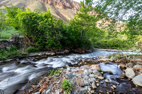 بهار شهرستان طارم در استان زنجان