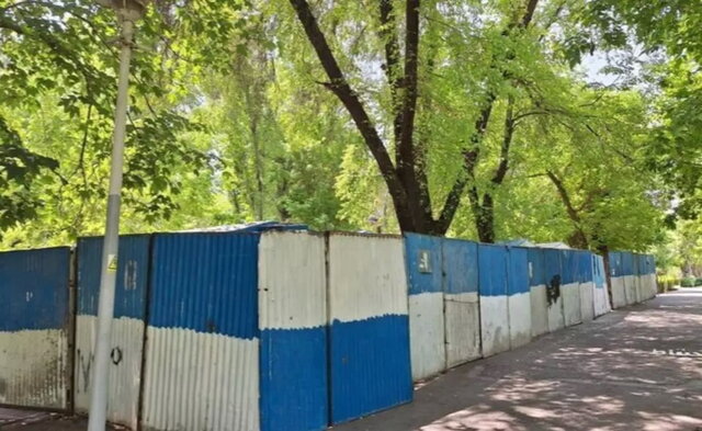 عکس آرشیوی است نقدی بر حصارکشی و اسبابکشی درختان از پارکها