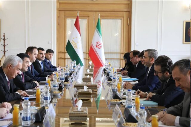 شاهبیت مأموریتهای پلیس/ ممنوعیتهای جدید یک حوزه جنجالی/ اولین انتصاب در سازمان تازه تأسیس