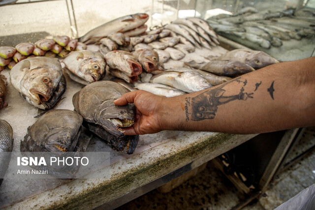 عکس از آرشیو معدومسازی بیش از یک تن آبزیان حرام گوشت و فاسد در آبادان