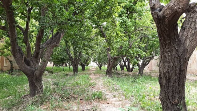 افزایش ۱۲ میلی متری بارندگی‌ها در شهرستان شهریار