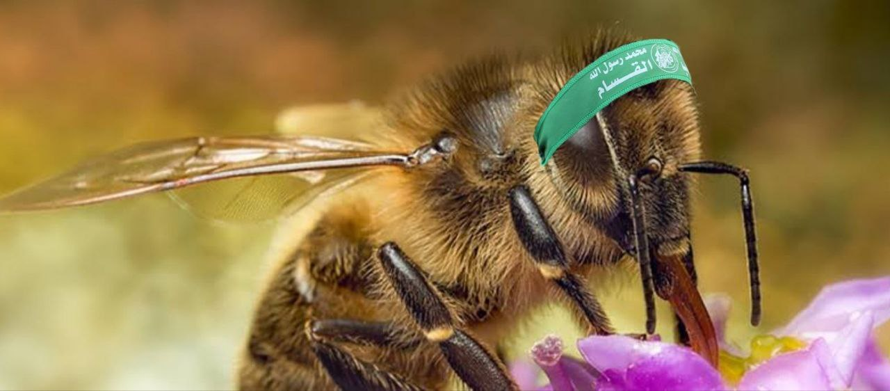 عکس/روایت گرافیستها از حمله زنبوران به سربازان اسرائیلی