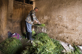روستای گردشگری روئین – استان خراسان شمالی