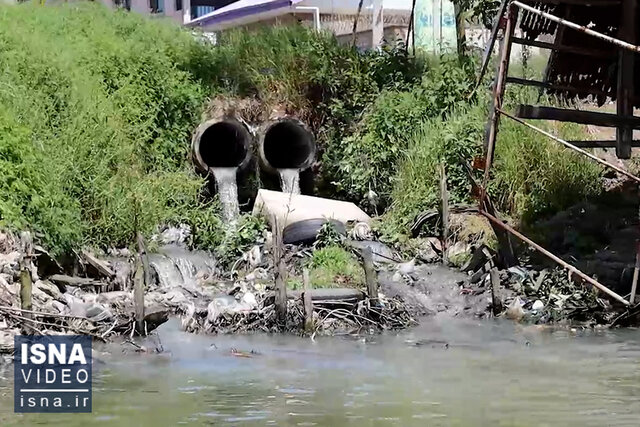 ویدیو/ فاضلاب بلای جان تالاب انزلی ویدیو/ فاضلاب بلای جان تالاب انزلی