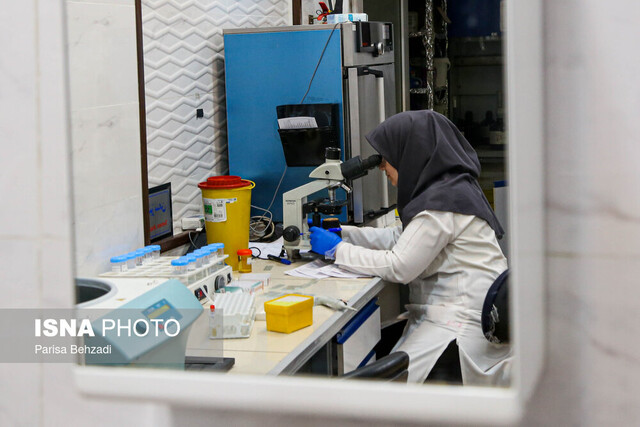 عکس تزئینی و آرشیوی است آزمایشگاه ملی «نخستیسانان، مغز و اعصاب» و ۲ مرکز همآفرینی راهاندازی میشوند