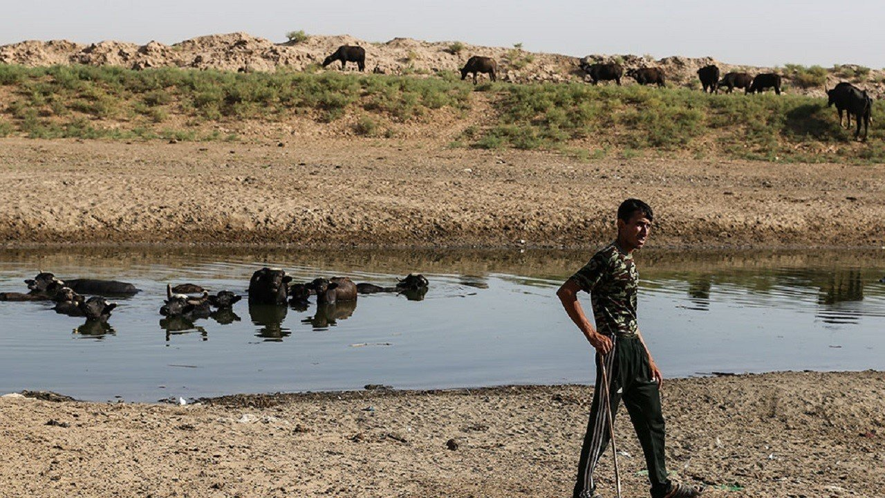 دیدنیهای جنوب که درحال نابودی هستند