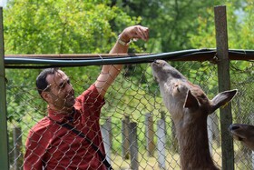 مرالهای ایرانی در پناهگاه حیات وحش آستارا