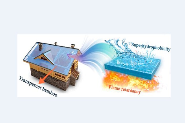 شیشههای آینده از بامبو ساخته میشوند!