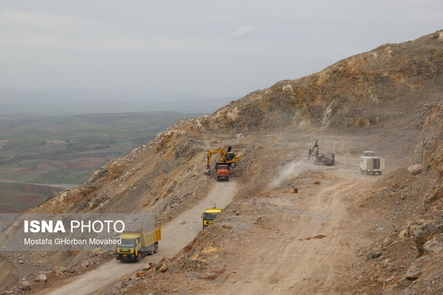 ۷۵ گونه جانوری ایران در لیست «سرخ»/تصادفات جادهای،علت حدود ۵۰ درصد از تلفات گوشتخواران
