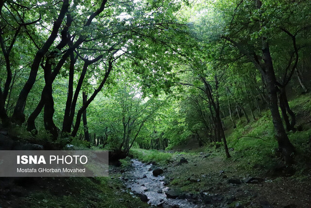 محیط زیست به دنبال تهیه پیشنویس یک قانون