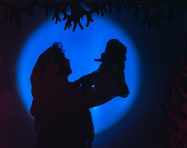 نمیخواستیم کاری دمدستی اجرا کنیم