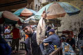 فروش ماهی در بازار سی‌متری اهواز