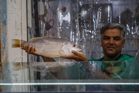 فروش ماهی در بازار سی‌متری اهواز