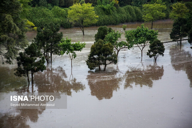 تشریح آخرین وضعیت مناطق سیلزده در مشهد/ آسیبدیدگان سیل در مهمان سرای حرم مطهر اسکان یافتند تشریح آخرین وضعیت مناطق سیلزده در مشهد/ آسیبدیدگان سیل در مهمان سرای حرم مطهر اسکان یافتند