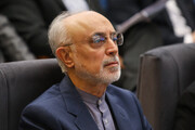 طرح مقابله با نفوذ بیگانگان به رونق علم کشور کمک نمی‌کند