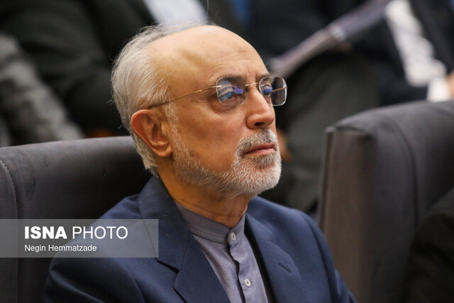 صالحی: عربستان در نظر ایرانیان شایسته تقدیر و تشکر است صالحی: عربستان در نظر ایرانیان شایسته تقدیر و تشکر است