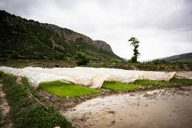 روستای سفید چاه در گلوگاه بهشهر - استان مازندران