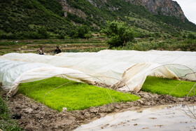 روستای سفید چاه در گلوگاه بهشهر - استان مازندران