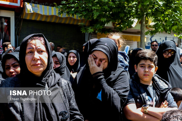 کبوتر خونینبال درسجین در زادگاهش آرام گرفت
