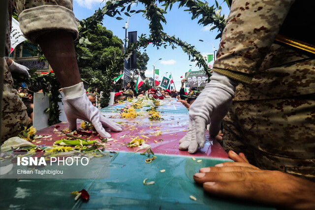 کبوتر خونینبال درسجین در زادگاهش آرام گرفت
