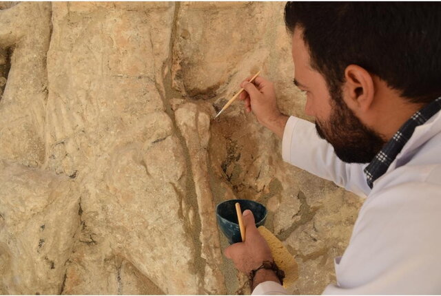 وضعیت نقشبرجستههای ساسانی نگرانکننده است