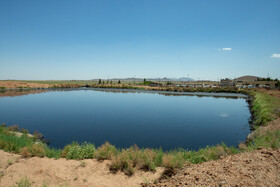 گودالهای آببندیشدهای بیرون از تصفیهخانه ایجاد شده که فاضلاب درون آنها رها میشود