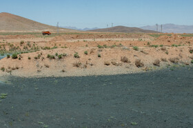 در مسیرهایی که فاضلاب صنعتی رهاسازی و تخلیه شده بسیاری از گونههای گیاهی از بین رفته و این منطقه را به کانون تشکیل ریزگردها و گردوخاک تبدیل کرده است.