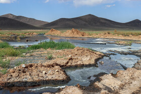 منطقه آلوده شده توسط فاضلاب صنعتی جزو مناطق پویا و سرسبز و دشت زیبای زرندیه بود ولی گسترش صنعت در زرندیه موجب شده حتی منابع آبی روستایی که قبلا در این منطقه وجود داشت خشک شود