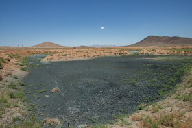در مسیرهایی که فاضلاب صنعتی رهاسازی و تخلیه شده بسیاری از گونههای گیاهی از بین رفته اند