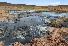 از سالیان گذشته حجم زیادی از فاضلاب صنعتی به اراضی کشاورزی این منطقه رهاسازی شده و موجب مسمومیت خاک شده است