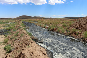 از سالیان گذشته متاسفانه حجم زیادی از فاضلاب صنعتی به اراضی کشاورزی این منطقه رهاسازی شده و موجب مسمومیت خاک شده است